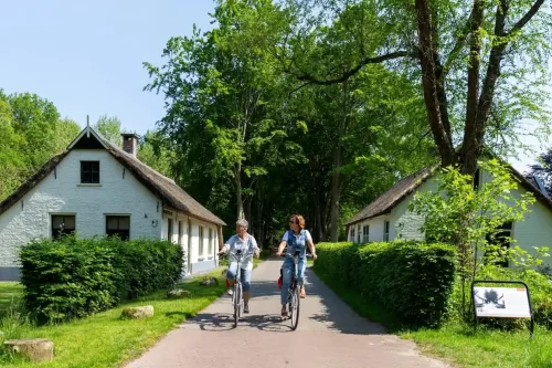 weldadig-rondje.webp